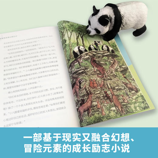 熊猫男孩奇幻旅行记 商品图1
