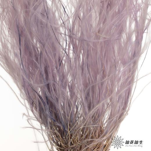 永生花材|进口墨西哥羽毛草香芋紫 商品图2
