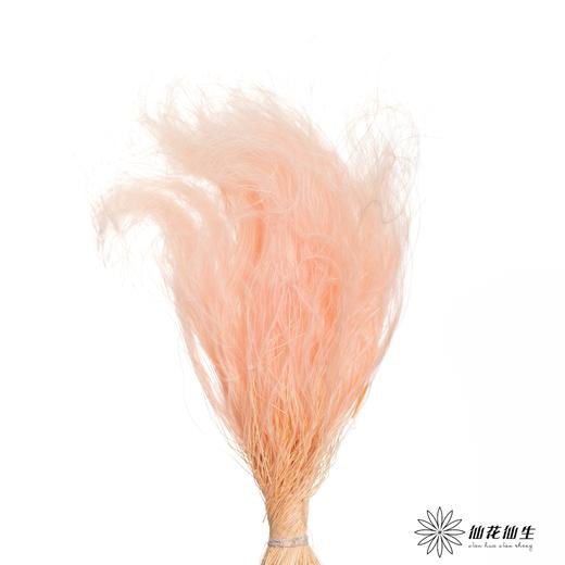 永生花材|墨西哥羽毛草肉粉色 商品图3