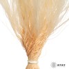 永生花材|墨西哥羽毛草白色 商品缩略图1