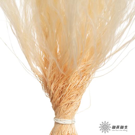 永生花材|墨西哥羽毛草白色 商品图1