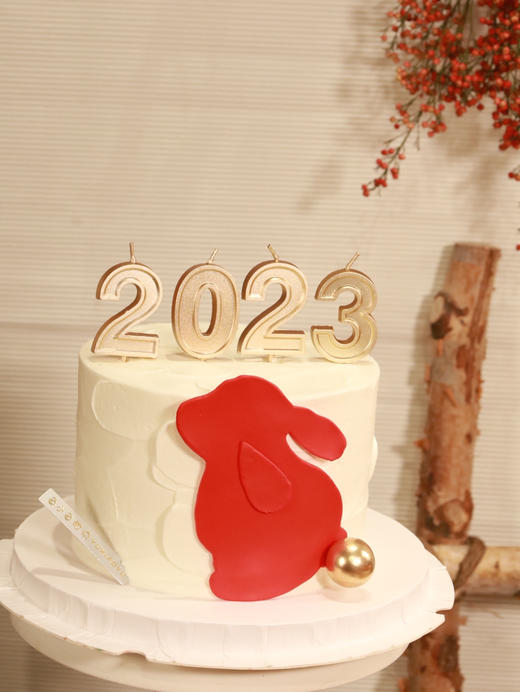 “nice”—2023跨年兔 商品图2