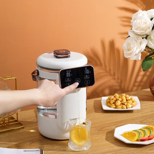 韩国DAEWOO大宇家用宿舍大容量学生宿舍用开水瓶壶 DYSP-25F01 2.5L 商品图2