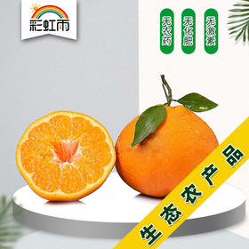 生态春见耙耙柑450g 耙耙柑皮薄肉厚多汁 京津冀满百包邮