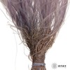 永生花材|进口墨西哥羽毛草香芋紫 商品缩略图1