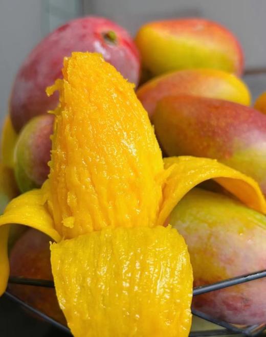 海南树熟贵妃芒5斤装芒果 商品图0