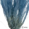 永生花材|墨西哥羽毛草蓝灰色 商品缩略图2