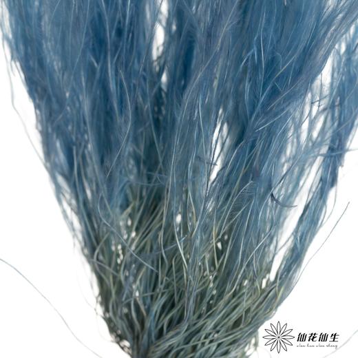 永生花材|墨西哥羽毛草蓝灰色 商品图2