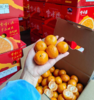湖南高山雪峰橘（约4.5斤箱装/500g盒装）| 水果 商品缩略图2