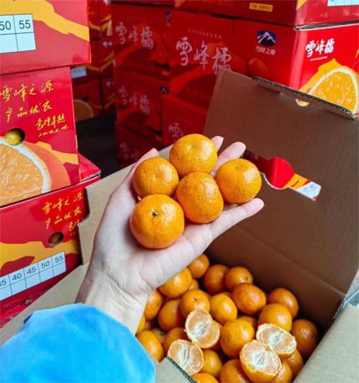 湖南高山雪峰橘（约4.5斤箱装/500g盒装）| 水果 商品图2
