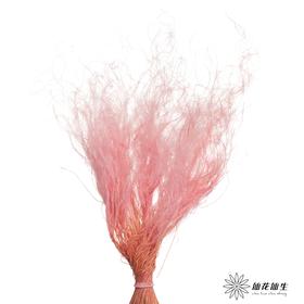 永生花材|墨西哥羽毛草粉色