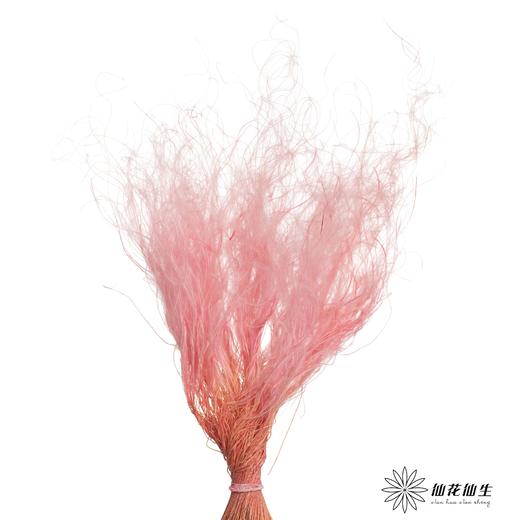 永生花材|墨西哥羽毛草粉色 商品图0