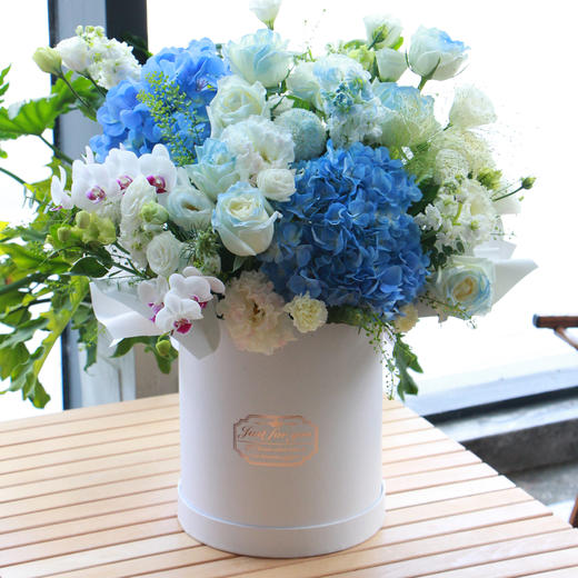 缀满星光 商品图0