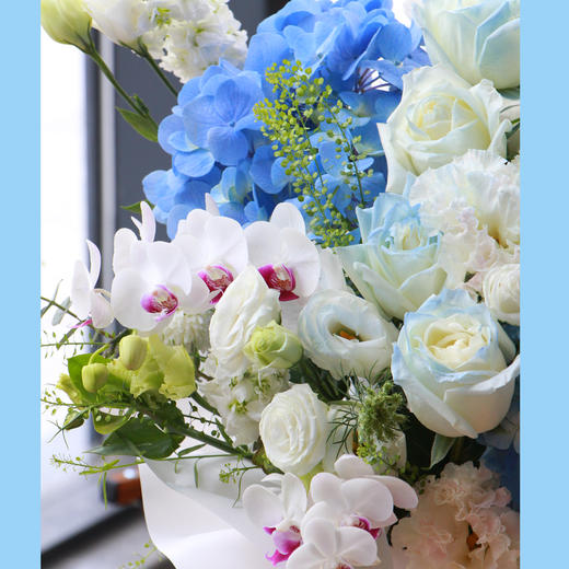 缀满星光 商品图1