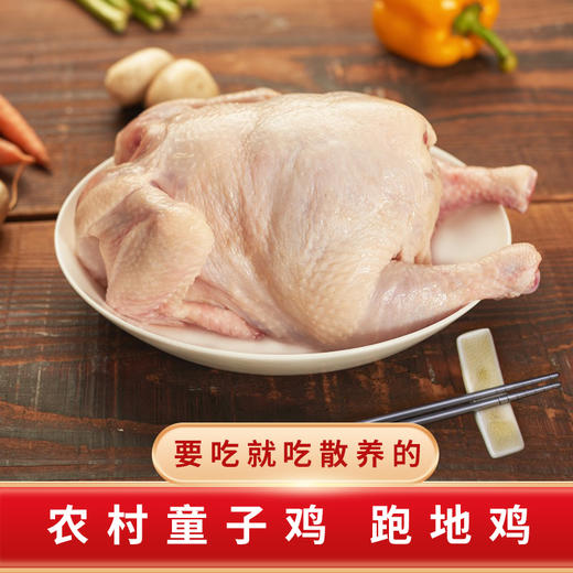 皖北三宝童子鸡1嫩鸭1乳鸽1（共1900g左右） 商品图4