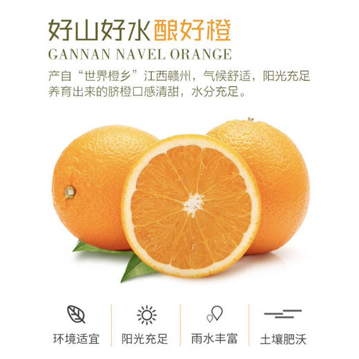 君橙故事70mm果 5斤 商品图0