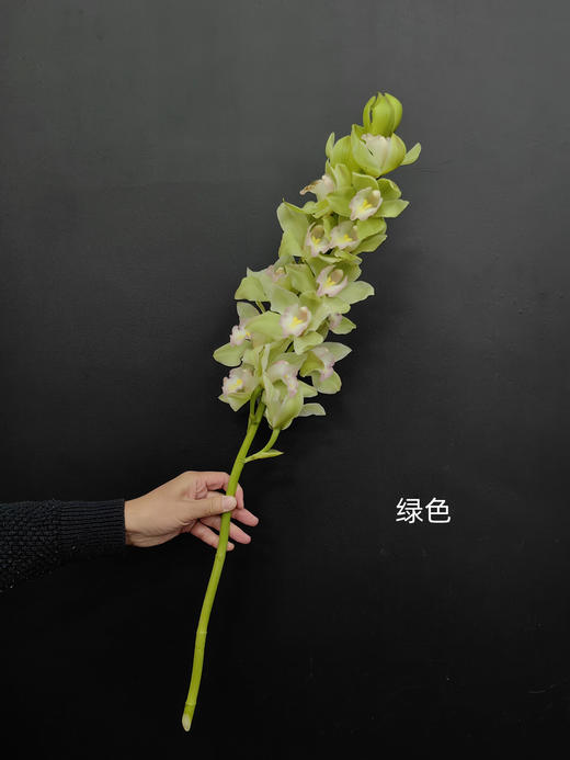 精品花卉精品大花蕙兰热卖 商品图11