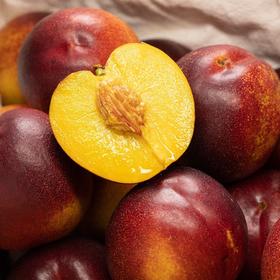 澳洲 黄金蜜油桃