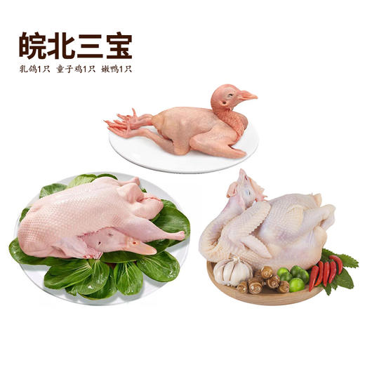 皖北三宝童子鸡1嫩鸭1乳鸽1（共1900g左右） 商品图0