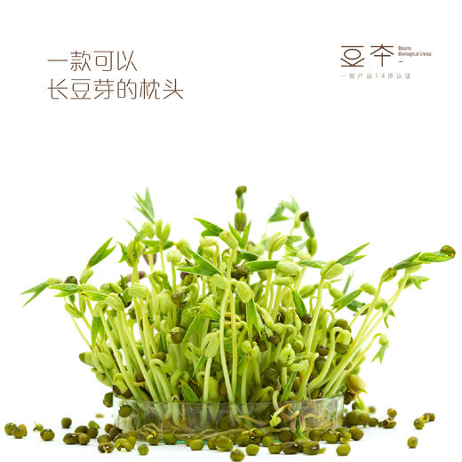 豆本冰冰枕 高分子环保材料 超柔零度技术 护颈又护肩 商品图1