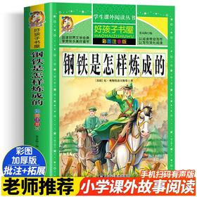钢铁是怎样炼成的 彩图注音版