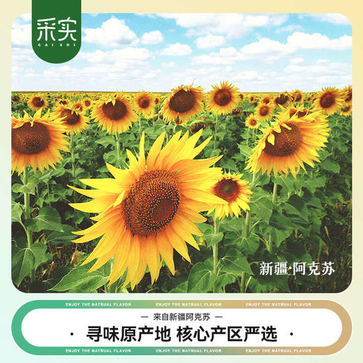 slm【优选】采实新疆原味葵花籽500g/袋 商品图6
