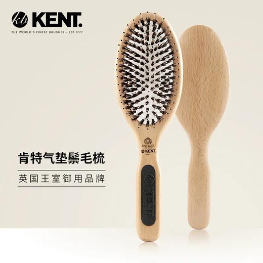 KENT 肯特气垫鬃毛梳 PF01-2303 商品图0