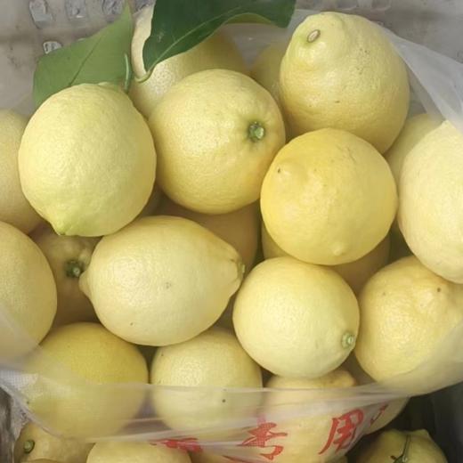 基地包邮 安岳生态柠檬 13~18枚约5斤 商品图2