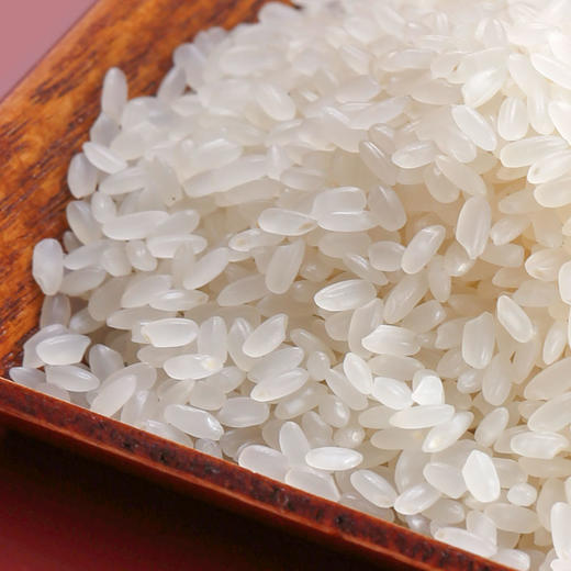 素食猫 泰来特产大米 细长粒 5KG/袋 商品图1