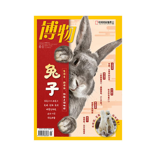 《博物》202301【加兔年大海报18元包邮】 兔子特辑 乖兔子VS疯兔子 明星宠物兔 苹果 格林童话 标点符号 商品图1