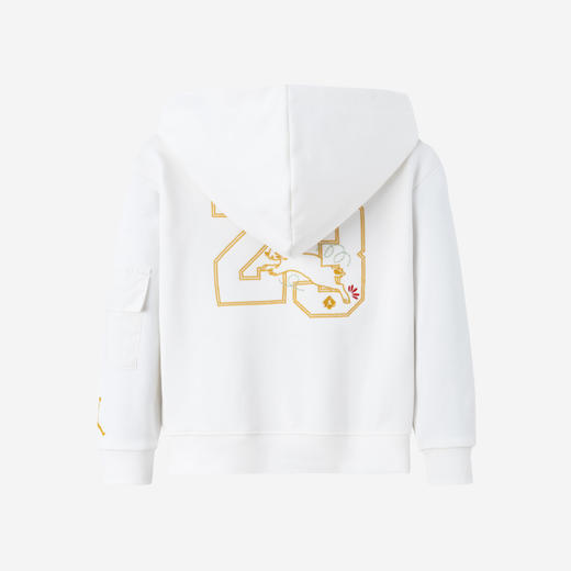 JORDAN 春 大童 小童 婴童 卫衣 JDB-PO-C354 商品图1