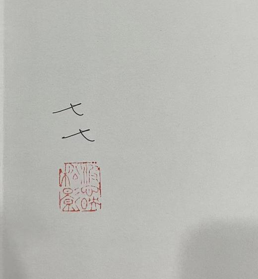 【“云端书展”专区】 光与真的旅途  苏七七/著 商品图1