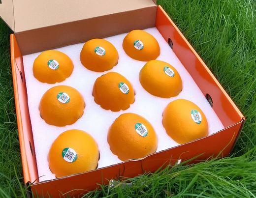 君橙故事85mm果 9枚 商品图1