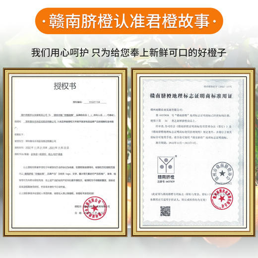 君橙故事70mm果 5斤 商品图5