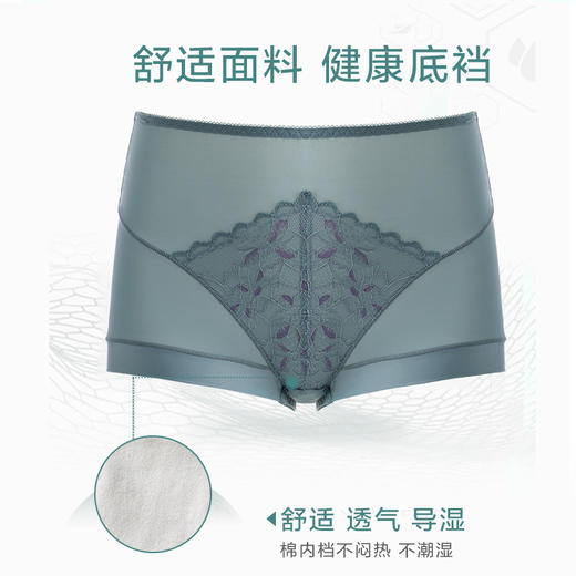 纯棉底裆 内裤中高腰 女士三角内裤 提臀无痕 紫薇星辰美臀裤 商品图3