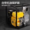 得力汽油机水泵(黄) 商品缩略图3