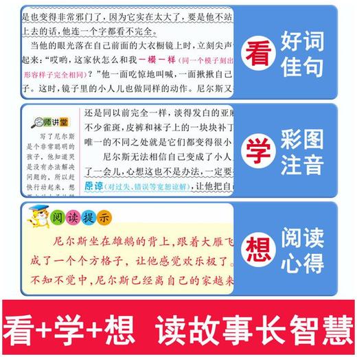 尼尔斯骑鹅旅行记 彩图升级版 商品图2