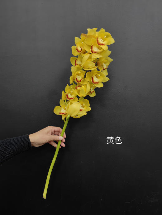 精品花卉精品大花蕙兰热卖 商品图10