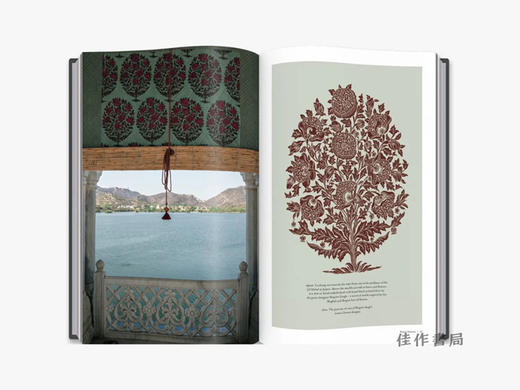 Floral Patterns of India/印度的花卉图案/英文原版 商品图3