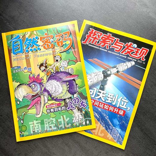 探索与发现+自然密码组合杂志 2025年1月起订 1年共12期   8-18岁少儿科普阅读期刊 商品图3