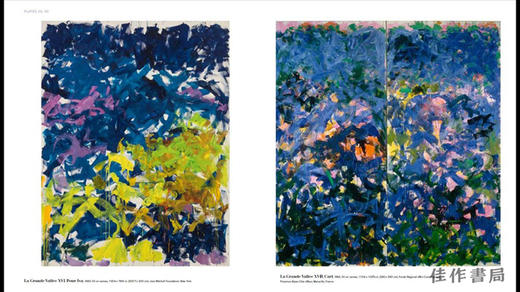 Joan Mitchell / 琼·米切尔 商品图4