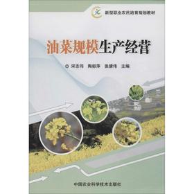 油菜规模生产经营