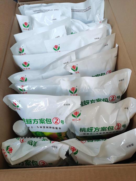 郑果丰桃蚜方案包1号和2号全年两次防治桃蚜效果好 商品图4
