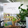 石榴船 商品缩略图4