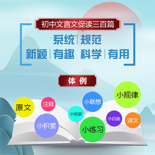 文言文促读初中一二三辑套装文言文促读300三百篇2023 商品图4