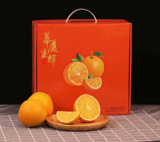 君橙故事85mm果 9枚 商品图0