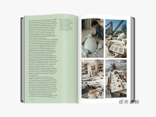 Floral Patterns of India/印度的花卉图案/英文原版 商品图2