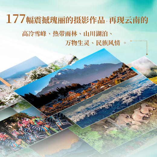 什么是云南 巨幕珍藏版 商品图1