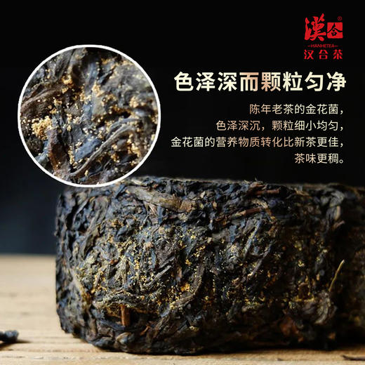 汉合茶叶 安化黑茶 天尖金茯 2013年 商品图1