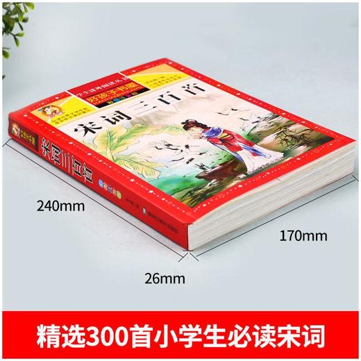 宋词三百首 彩图注音版 商品图1